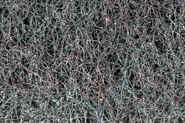 PE_Cellulose_Fibre_Texture