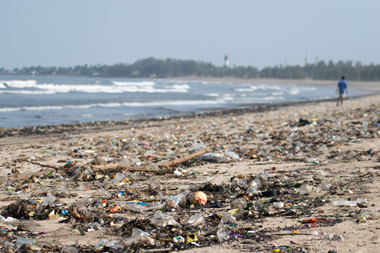 PE_Pollution_On_Beach