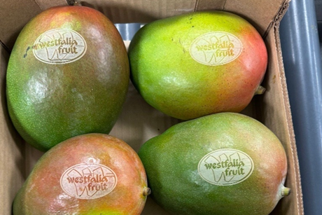 PE_Westfalia_Mangoes