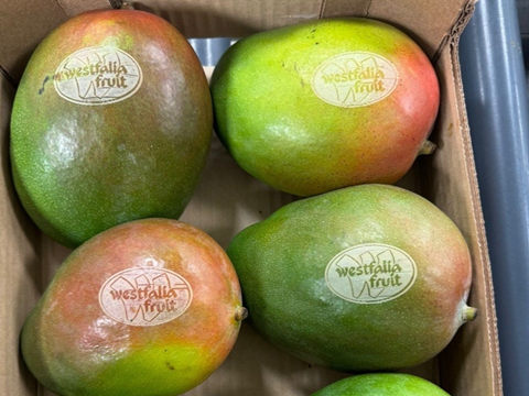 PE_Westfalia_Mangoes